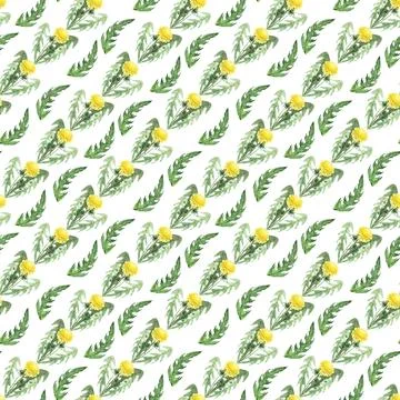 Watercolor seamless pattern with stylized of the Dandelion plant Stock Illustration