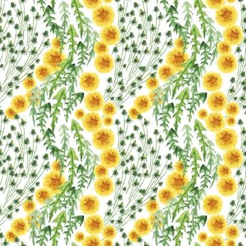 Watercolor seamless pattern with stylized of the Dandelion plant Stock Illustration