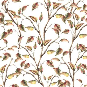 Watercolor seamless pattern with tree branch with autumn leaves. Hand painted Stock Illustration