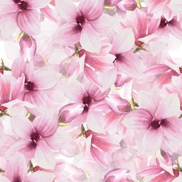 Watercolor Seamless Pattern White background Hand painted illustration Magnol Stock Illustration