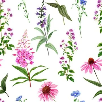 Watercolor seamless pattern, wild field flowers Stock Illustration