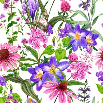 Watercolor seamless pattern, wild field flowers and herbs Stock Illustration