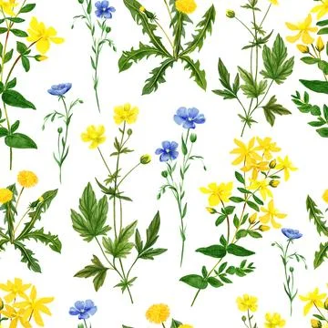 Watercolor seamless pattern, wild field flowers and herbs Illustrazione stock