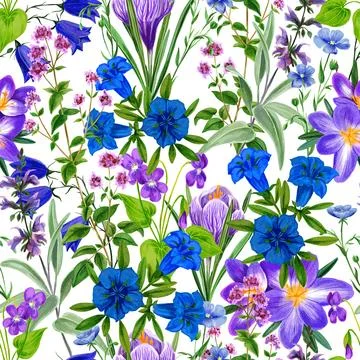 Watercolor seamless pattern, wild field flowers and herbs Illustrazione stock