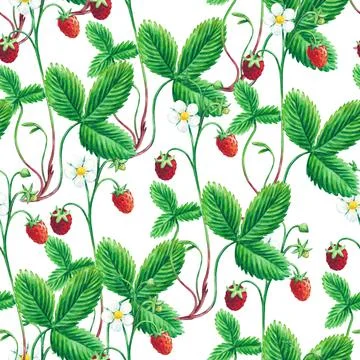 Watercolor seamless pattern with wild forest strawberries. Stock Illustration