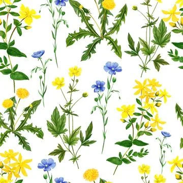 Watercolor seamless pattern, yellow wild field flowers Stock Illustration