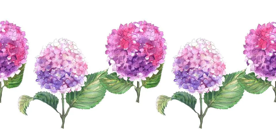 Watercolor seamless patterns with blooming hydrangea branches Stock Illustration