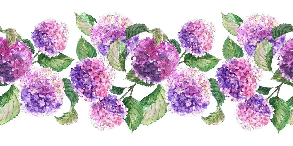 Watercolor seamless patterns with blooming hydrangea branches Stock Illustration