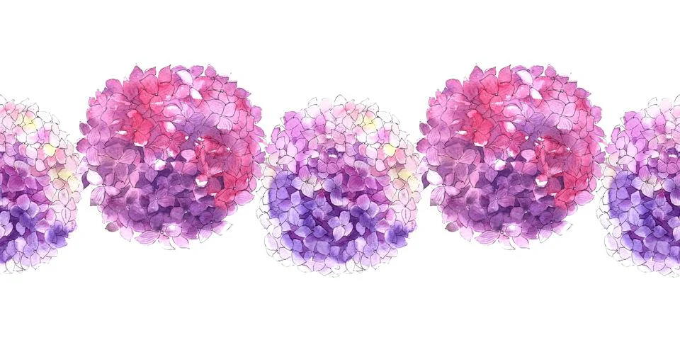 Watercolor seamless patterns with blooming hydrangea branches Stock Illustration