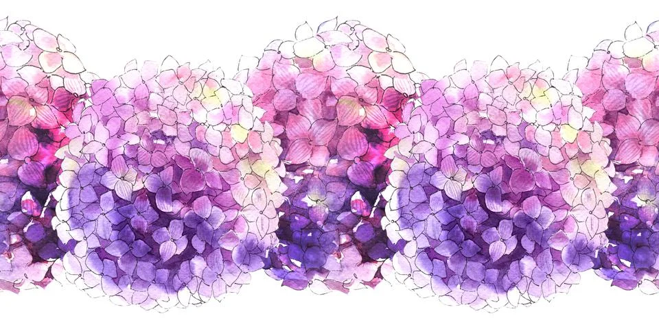 Watercolor seamless patterns with blooming hydrangea branches Stock Illustration