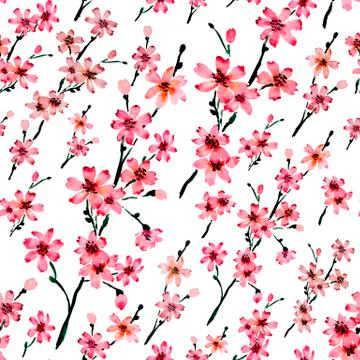 Watercolor seamless sakura pattern Stock Illustration
