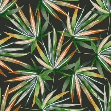 Watercolor Seamless Tropical Pattern Pattern with leaves. Background Stock Illustration