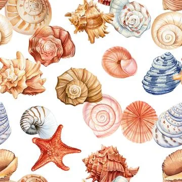 Watercolor seashell seamless pattern. Underwater creatures, Seashell repeat イラスト素材