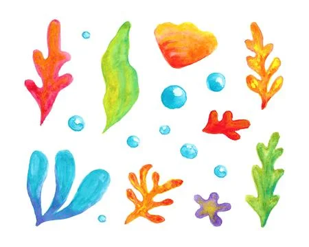 Watercolor set of Algae on white background. Illustration