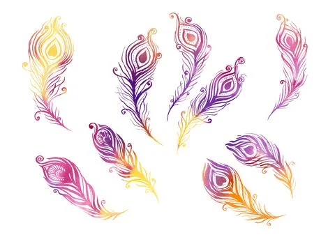 Watercolor Set of birds feather elements in the style of line art on a white Stock Illustration