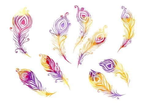 Watercolor Set of birds feather elements in the style of line art on a white Stock Illustration