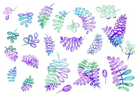 Watercolor Set of Floral elements in the style of line art on a white background Stock Illustration