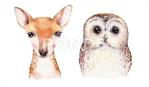 Watercolor set of forest cartoon isolated cute baby fox, deer, raccoon and owl Stock Illustration