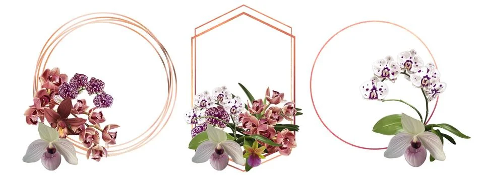 Watercolor set of frames made of orchids. frame of cymbidium, phalaenopsis and 스톡 일러스트