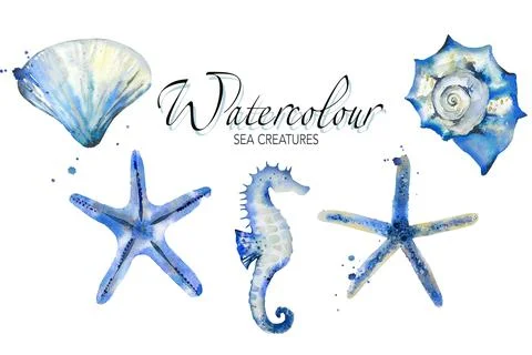 Watercolor set of isolated objects sea shells, starfishes, scallop and seahorse Stock Illustration