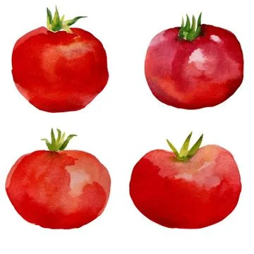 Watercolor set  tomatoes Stock Illustration