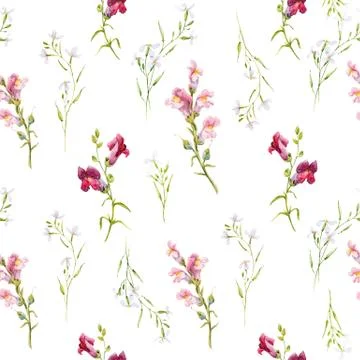 Watercolor snapdragons pattern Stock Photos