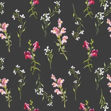 Watercolor snapdragons pattern Stock Photos