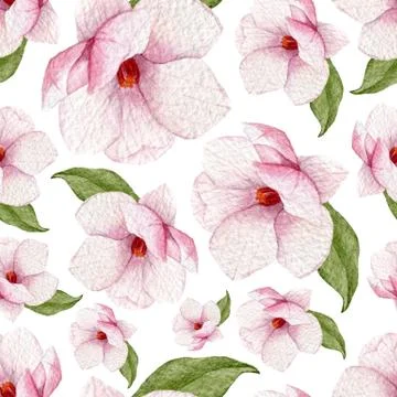 Watercolor spring seamless pattern with magnolia flowers and leaves. Stockillustratie