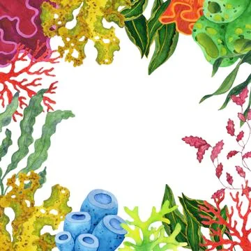 Watercolor square frame with algae and corals. Stock Illustration