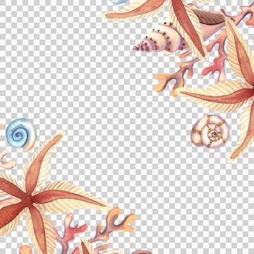 Watercolor square frame with seashell spirals and starfish, isolated. Hand-drawn Illustrazione stock
