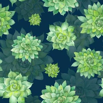 Watercolor Succulent Pattern on Blue Background Stock Illustration