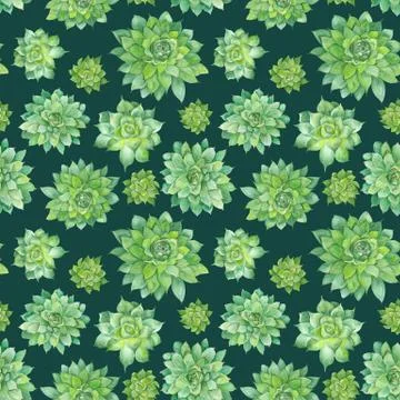 Watercolor Succulent Pattern on Blue Background Stock Illustration
