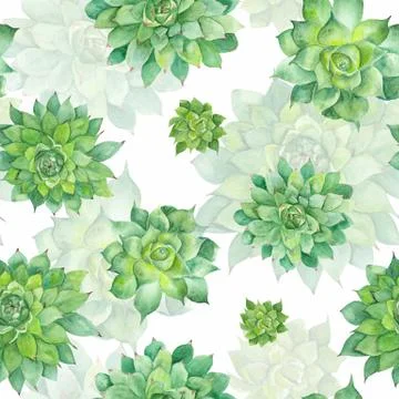 Watercolor Succulent Pattern on White Background Stock Illustration