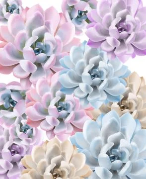 Watercolor Succulent plant pattern Vector. Hand painted vintage gardening bac イラスト素材