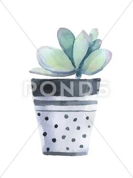 Watercolor succulent PSD Template