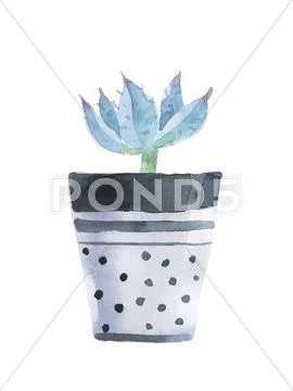Watercolor succulent PSD Template