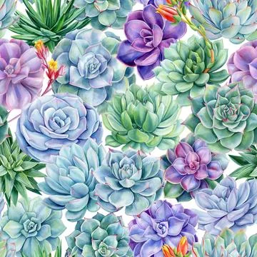 Watercolor succulents seamless pattern. Texture with tropical green plant. Hand Stock Illustration