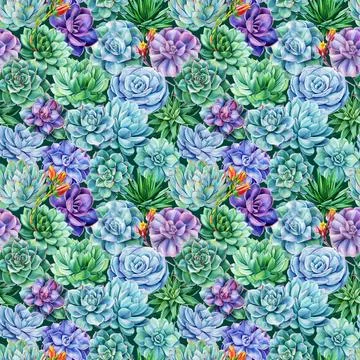 Watercolor succulents seamless pattern. Texture with tropical green plant. Hand Stock Illustration