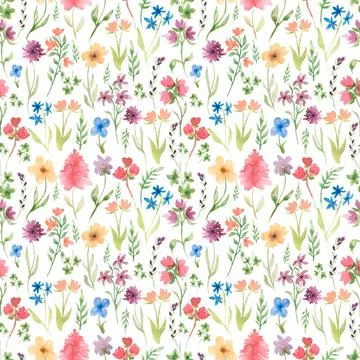 Watercolor summer seamless pattern with  pretty meadow flowers. Hand drawn .. Stock Illustration