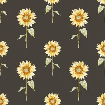 Watercolor sunflower pattern Stock Illustration