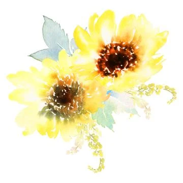 Watercolor sunflowers Stock-Illustration