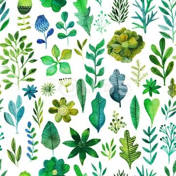 Watercolor texture with flowers and plants. Floral ornament. Original flowers Stock Illustration