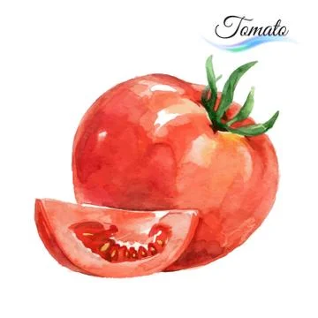 Watercolor tomato Stock Illustration