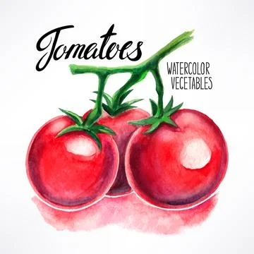 Watercolor tomatoes Stock Illustration