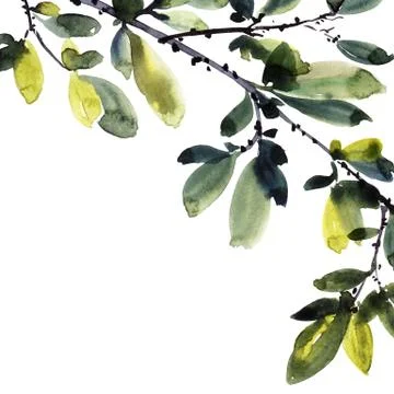 Watercolor tree branches Stockillustratie