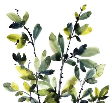 Watercolor tree branches Stockillustratie
