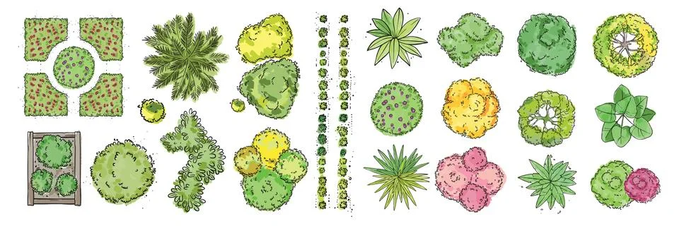 Watercolor tree top view set, vector bush crown map object kit, architecture Stock Illustration