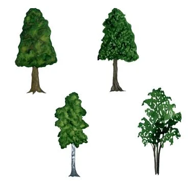 Watercolor trees. Stock Illustration