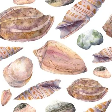 Watercolor tropic pattern with seashells and sea pebbles. Hand painted tropic Stock Illustration