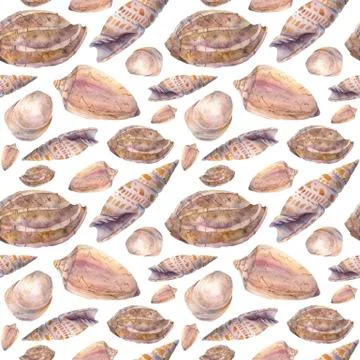 Watercolor tropic seashell pattern. Hand painted tropic shells isolated on white 스톡 일러스트